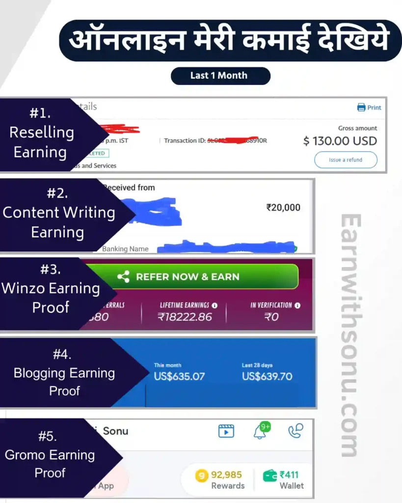 My Earning Proof 